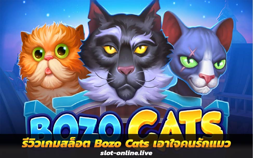 รีวิวเกมสล็อต Bozo Cats เกมสล็อตใหม่ เอาใจคนรักแมว
